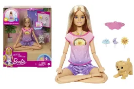 Barbie Doll Yoga & Meditation Hcn08 15030