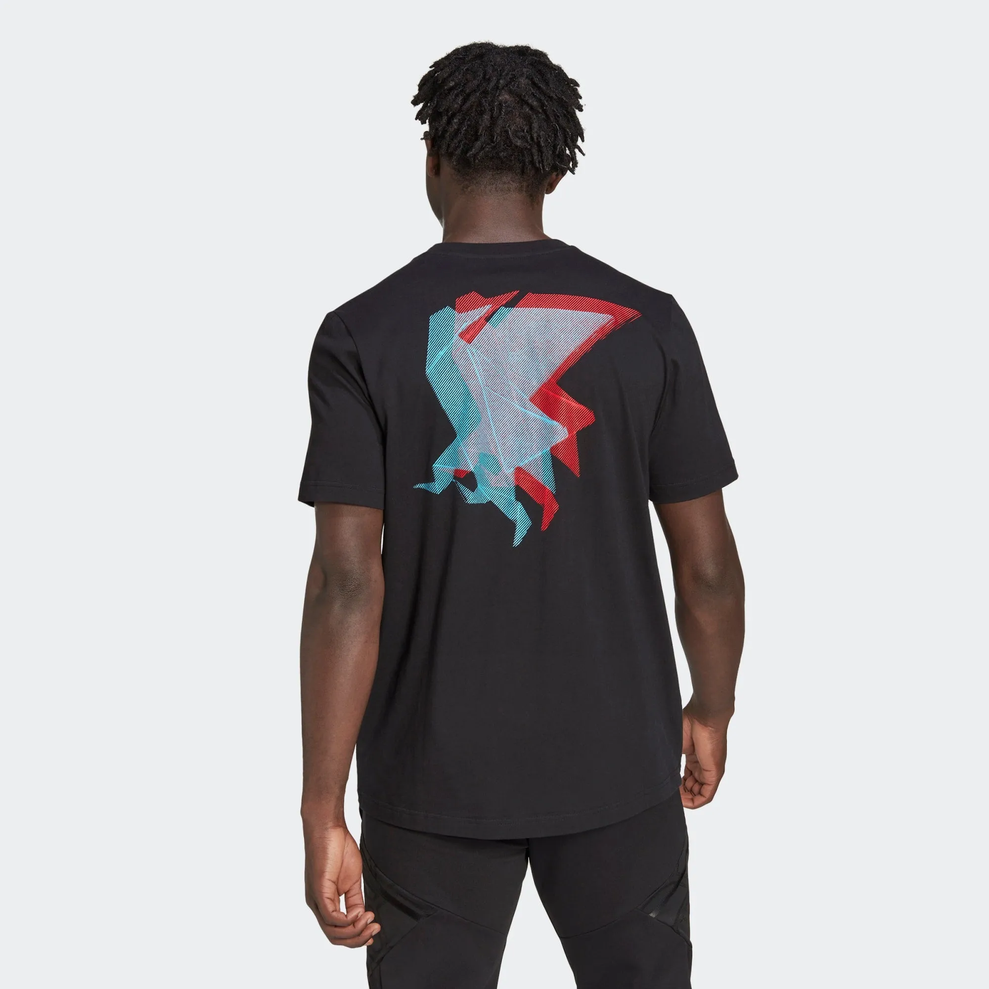 Japan 22 Graphic Tee