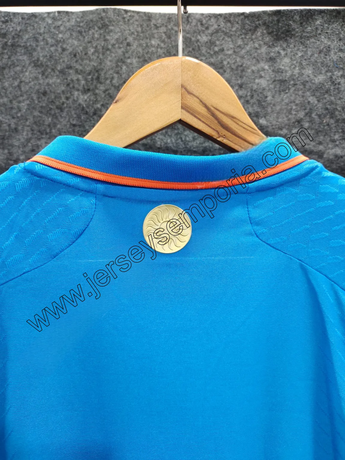 Team India Full Sleeve Jersey 2023-24 - Player Edition